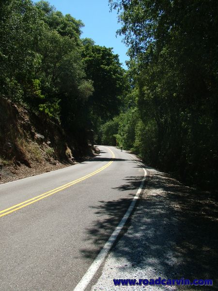 Sutter Creek Road - 035