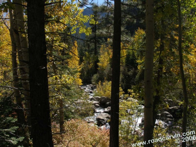 A peek at the West Fork of the Carson River