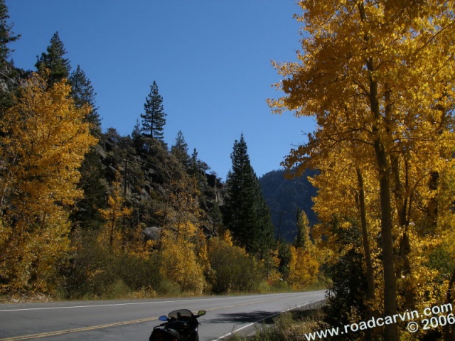 Woodfords area - the trees awash with the colors of autumn