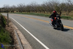 2009 Harley-Davidson Sportster XR1200 - At Speed Along Highway 26