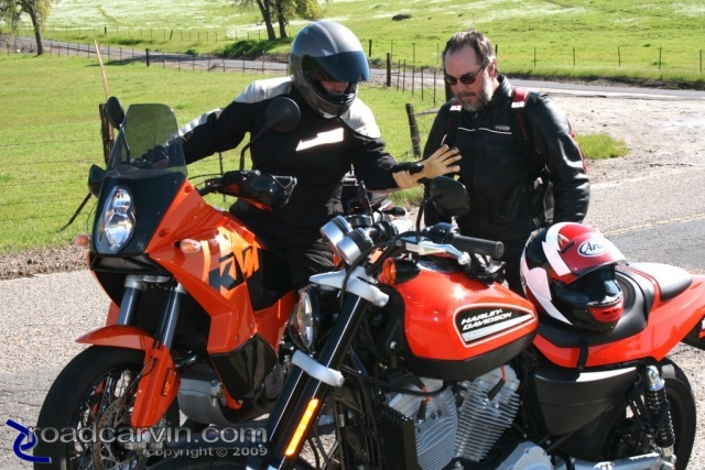 2009 Harley-Davidson Sportster XR1200 - KTM Rider Admires the XR1200