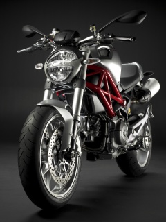 2009 Ducati Monster 1100 - Front Left: Front view of the 2009 Ducati Monster 1100.