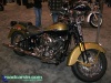 Harley Davidson Softail Springer