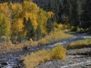 Carson River outside Markleeville on Hwy 4