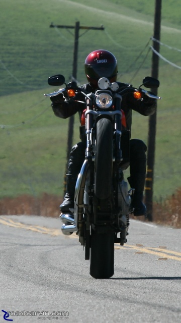 2009 Harley-Davidson Sportster XR1200 - Wheelie