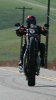 2009 Harley-Davidson Sportster XR1200 - Wheelie