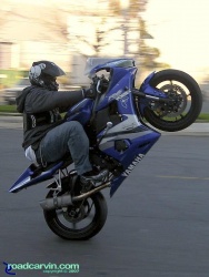 R6 Wheelie