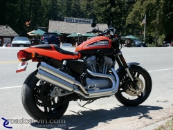 2009 Harley-Davidson Sportster XR1200 - Alice's Restaurant 2009 Harley-Davidson Sportster XR1200 - Alice's Restaurant